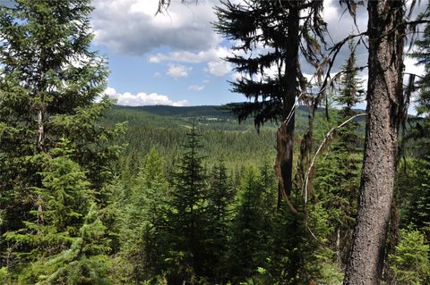 Photo of 3630 Logan Creek Road, Whitefish, MT 59937 (MLS # 30050693)