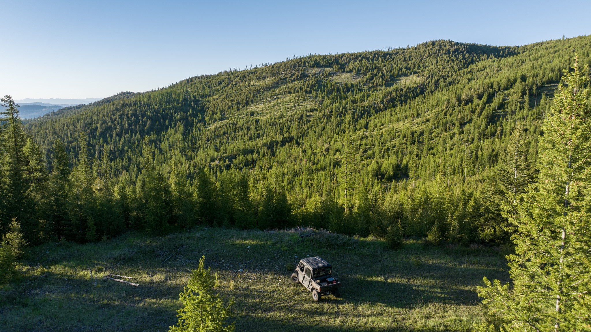 Coon Hollow Retreat