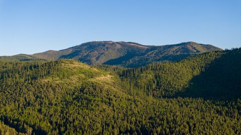 Coon Hollow Retreat Kila MT 59920