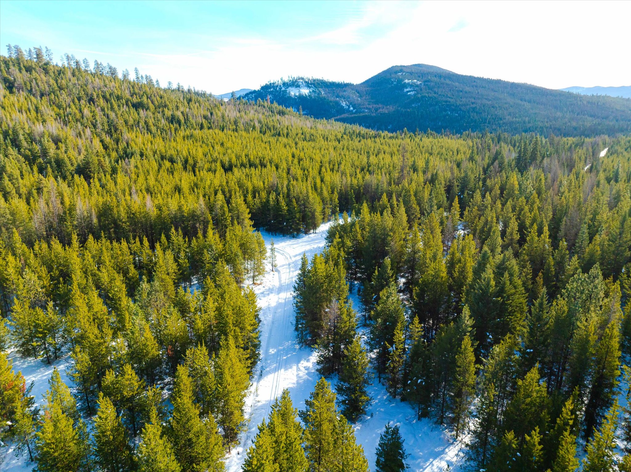 NHN Elk Creek - McGinnis Meadows Road Section 11