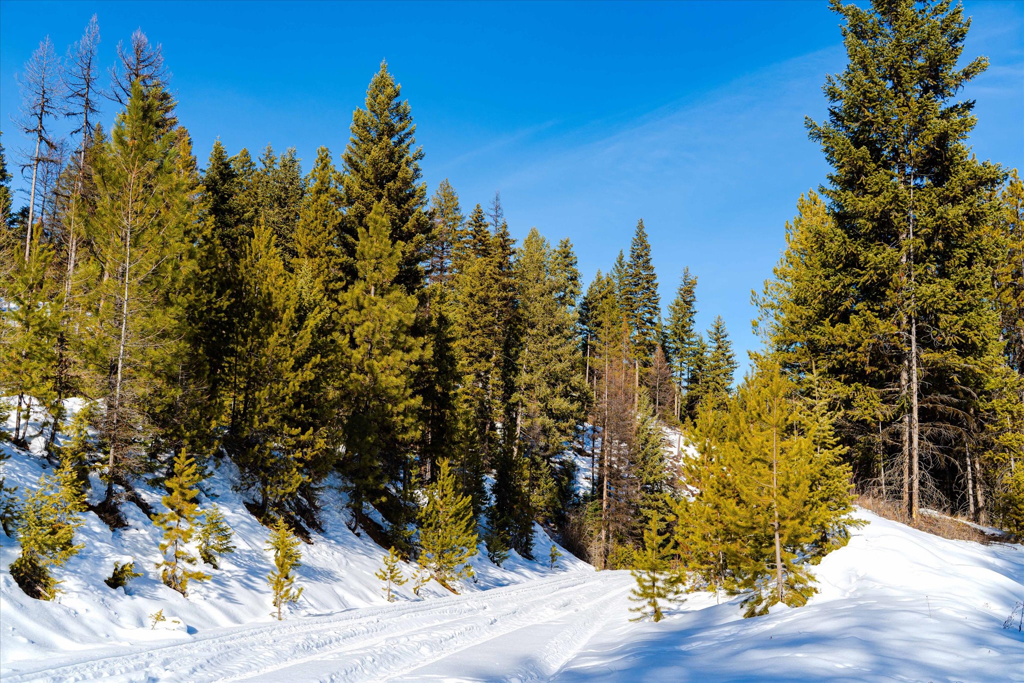 NHN Elk Creek - McGinnis Meadows Road Section 11