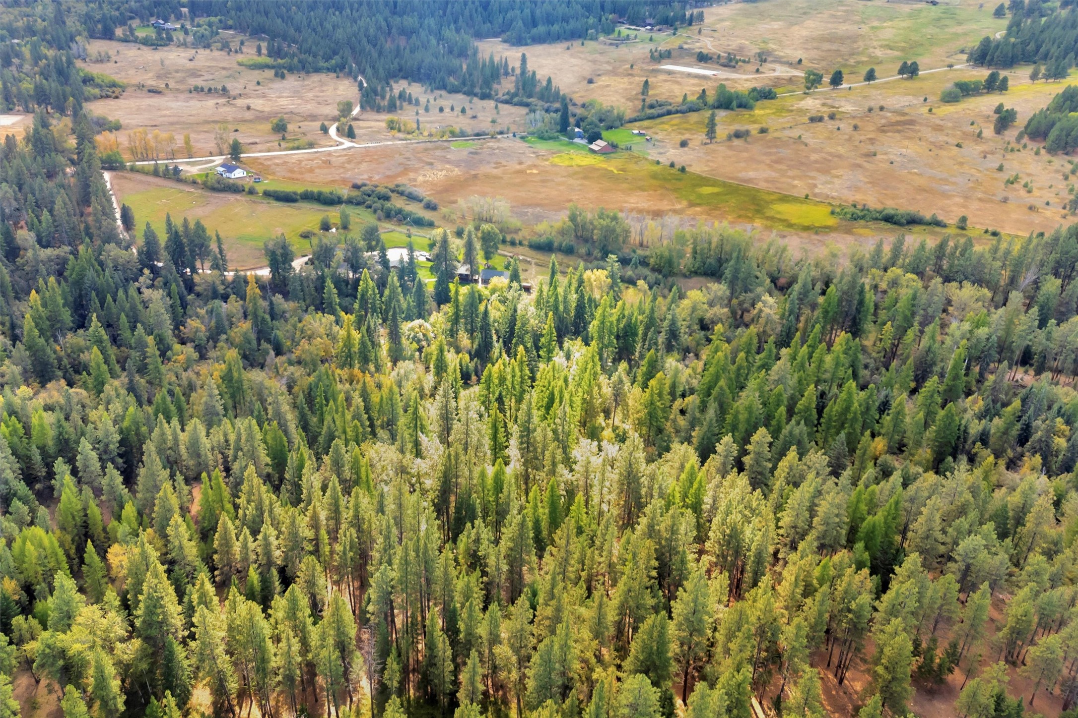 Stevensville, Montana 59870, United States, 5 Bedrooms Bedrooms, ,5 BathroomsBathrooms,Residential,Active,41203