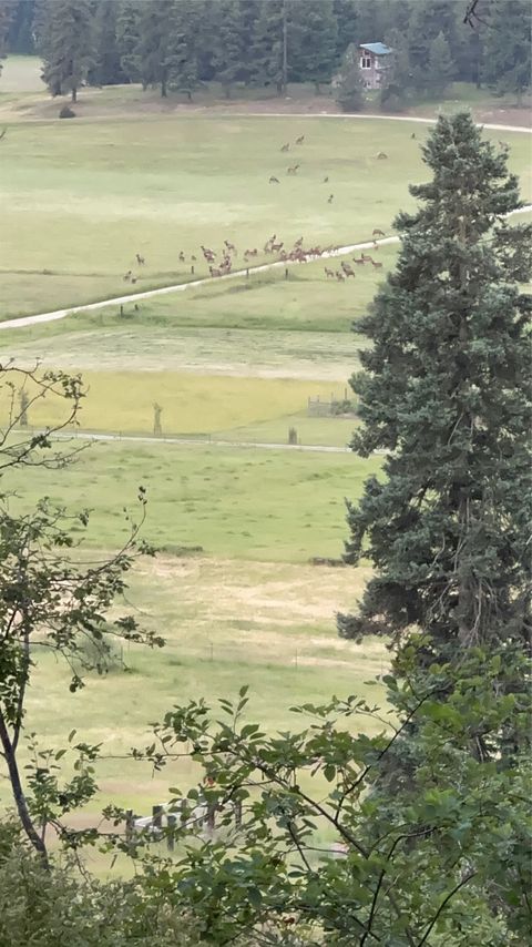 Tiny photo for 1519 Blue Slide Road, Thompson Falls, MT 59873 (MLS # 30069607)