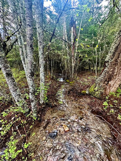 Tiny photo for 1519 Blue Slide Road, Thompson Falls, MT 59873 (MLS # 30069607)