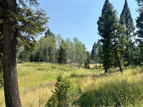 Tiny photo for 1286 Gold Creek Lakes Road, Gold Creek, MT 59733 (MLS # 30076677)