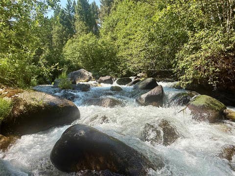 Tiny photo for 1286 Gold Creek Lakes Road, Gold Creek, MT 59733 (MLS # 30076677)