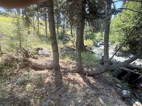 Tiny photo for 1286 Gold Creek Lakes Road, Gold Creek, MT 59733 (MLS # 30076677)