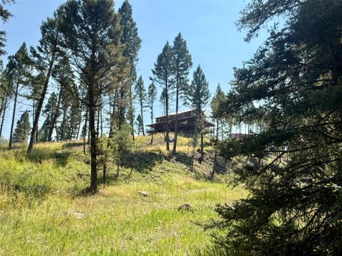 Tiny photo for 1286 Gold Creek Lakes Road, Gold Creek, MT 59733 (MLS # 30076677)