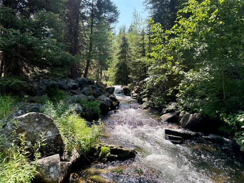 Tiny photo for 1286 Gold Creek Lakes Road, Gold Creek, MT 59733 (MLS # 30076677)