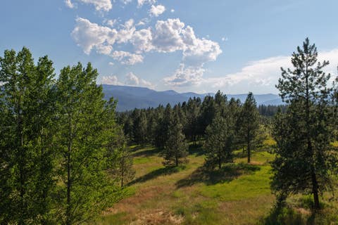 Tiny photo for 18925 Appaloosa Lane, Frenchtown, MT 59834 (MLS # 30075519)