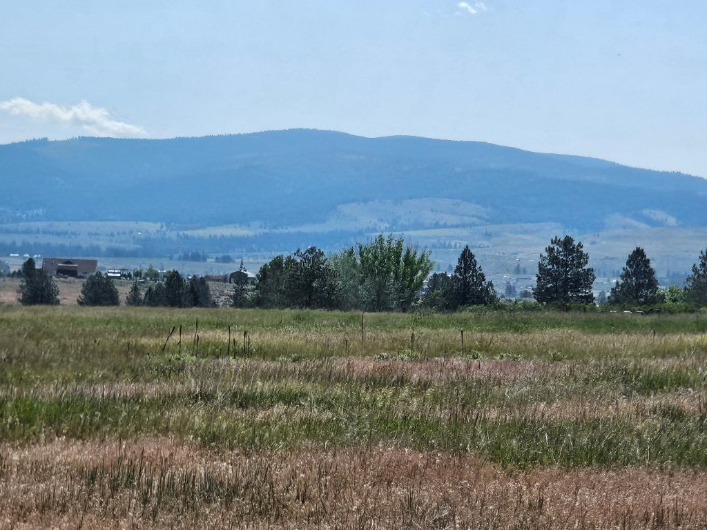 TBD Cougar Lane
