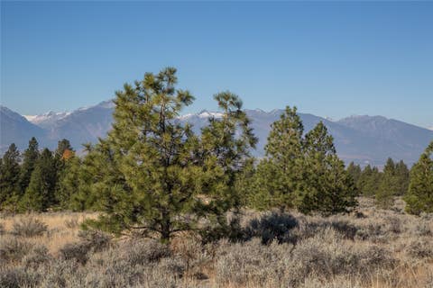 Tiny photo for NHNs Lord Byron Trail, Hamilton, MT 59840 (MLS # 30076383)