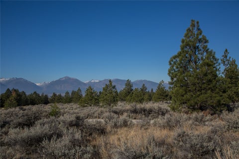 Tiny photo for NHNs Lord Byron Trail, Hamilton, MT 59840 (MLS # 30076383)