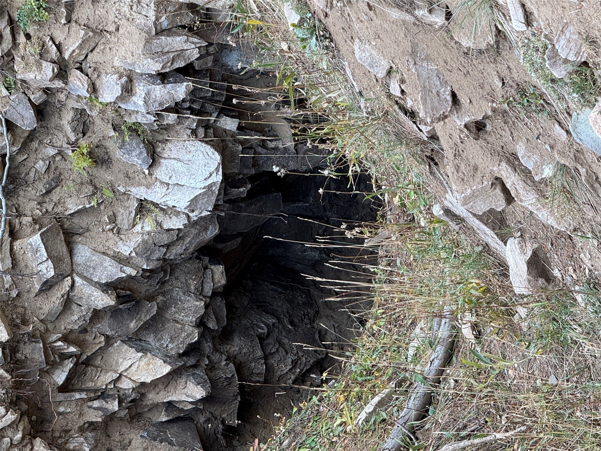 TBD Dark Horse Mining Claim