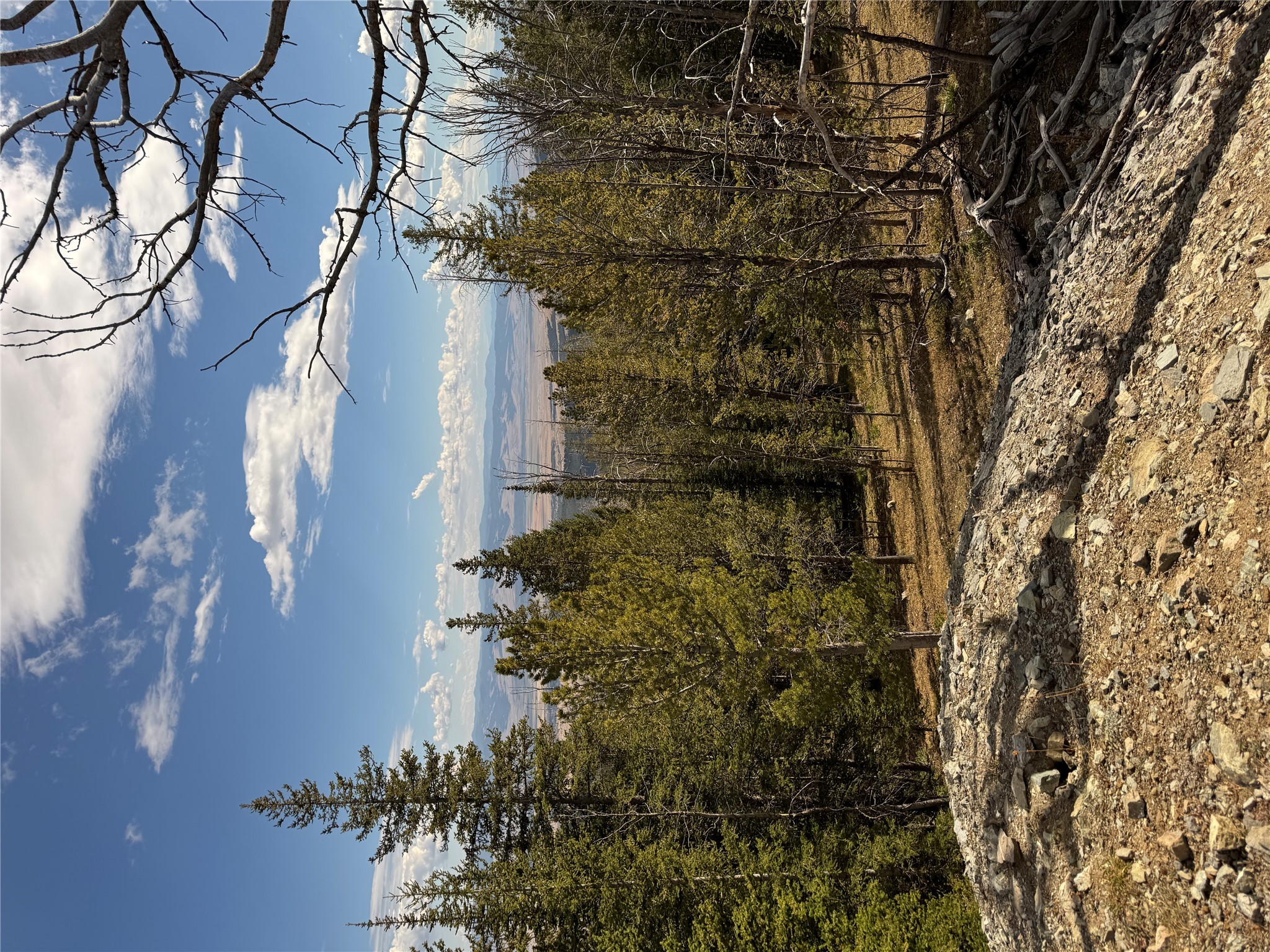 TBD Dark Horse Mining Claim