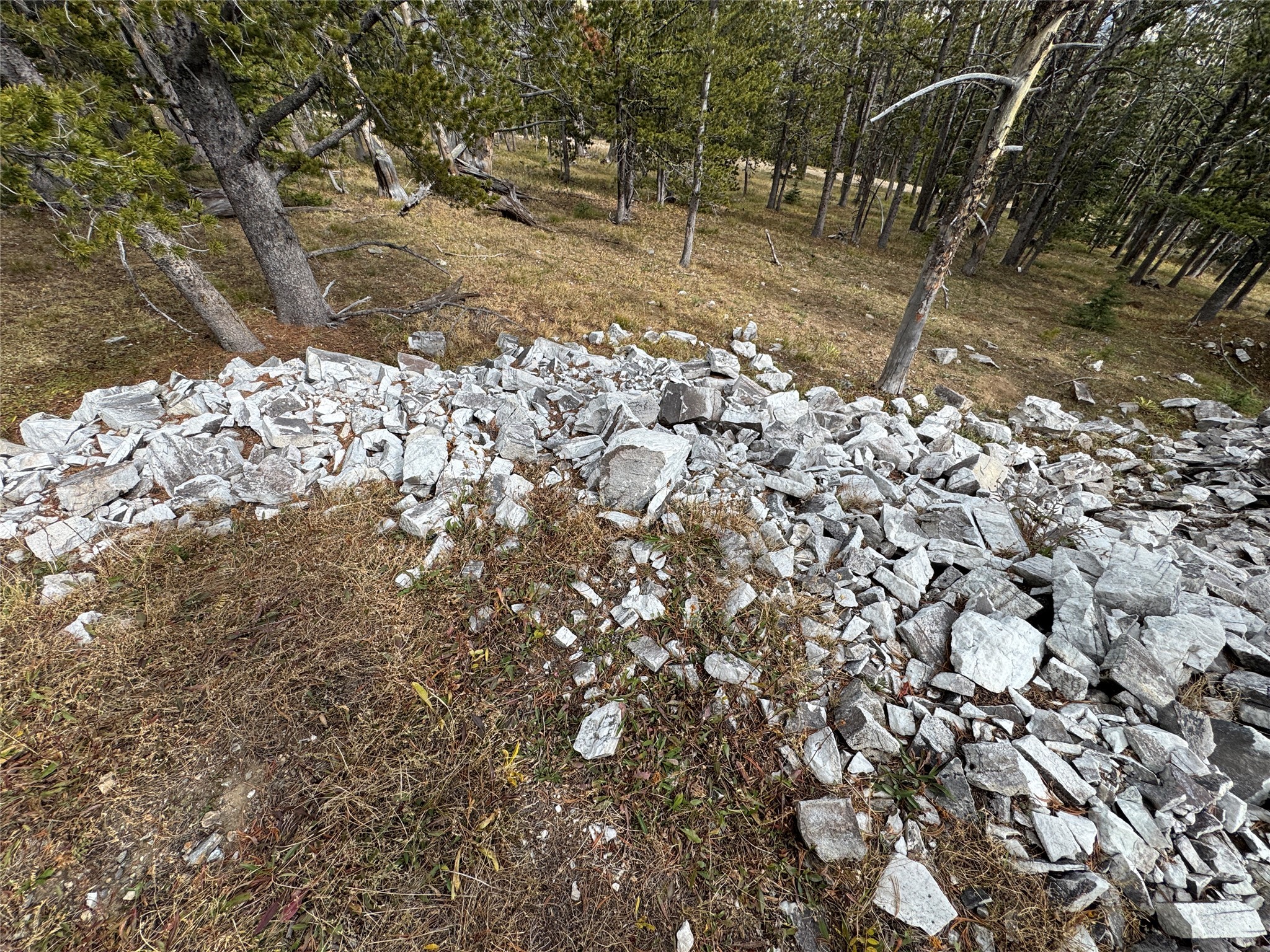 TBD Dark Horse Mining Claim