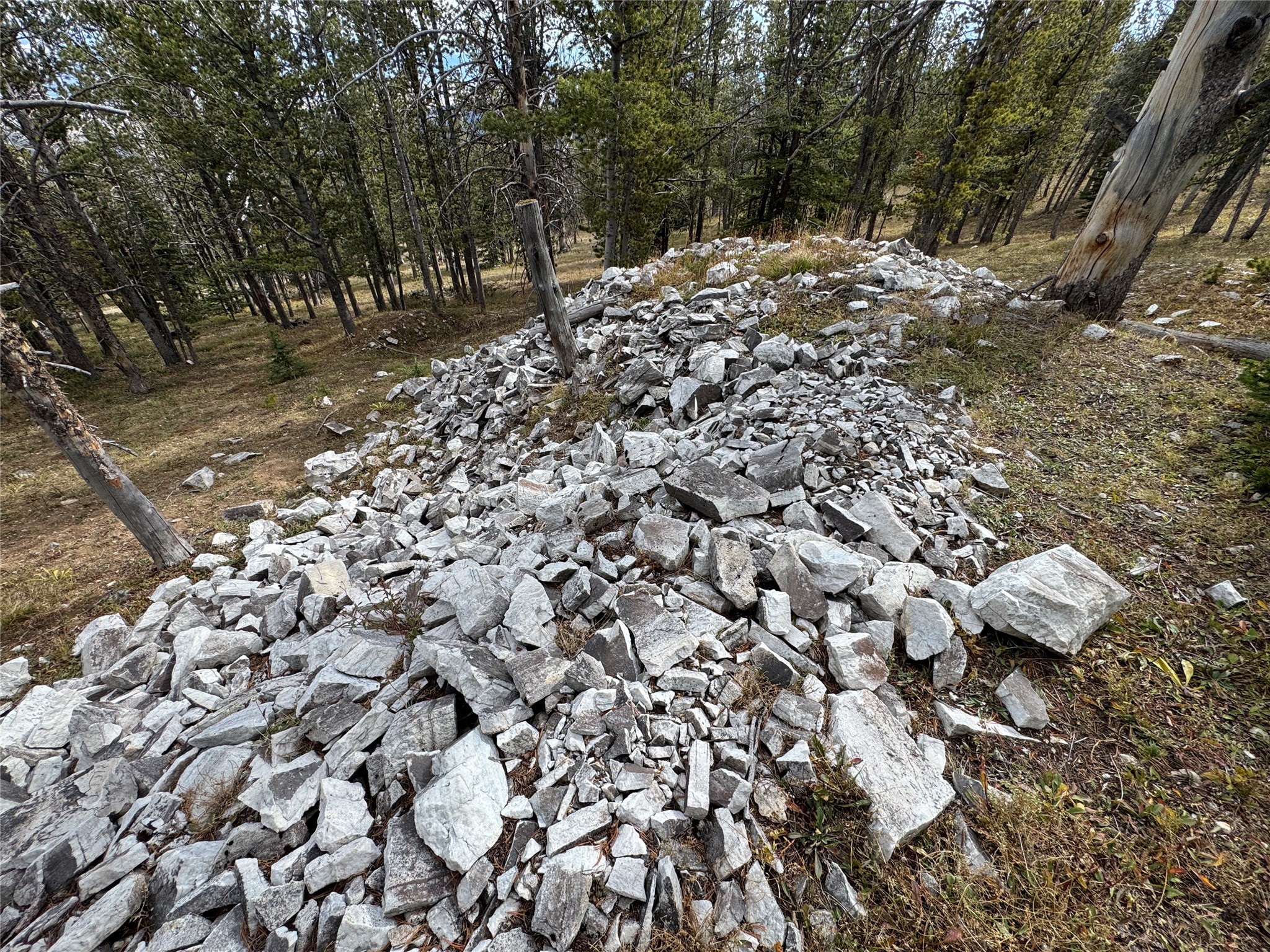 TBD Dark Horse Mining Claim