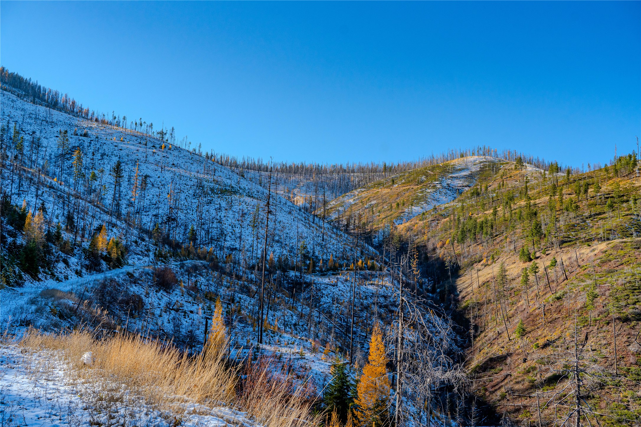 Nhn Vermillion Creek Road