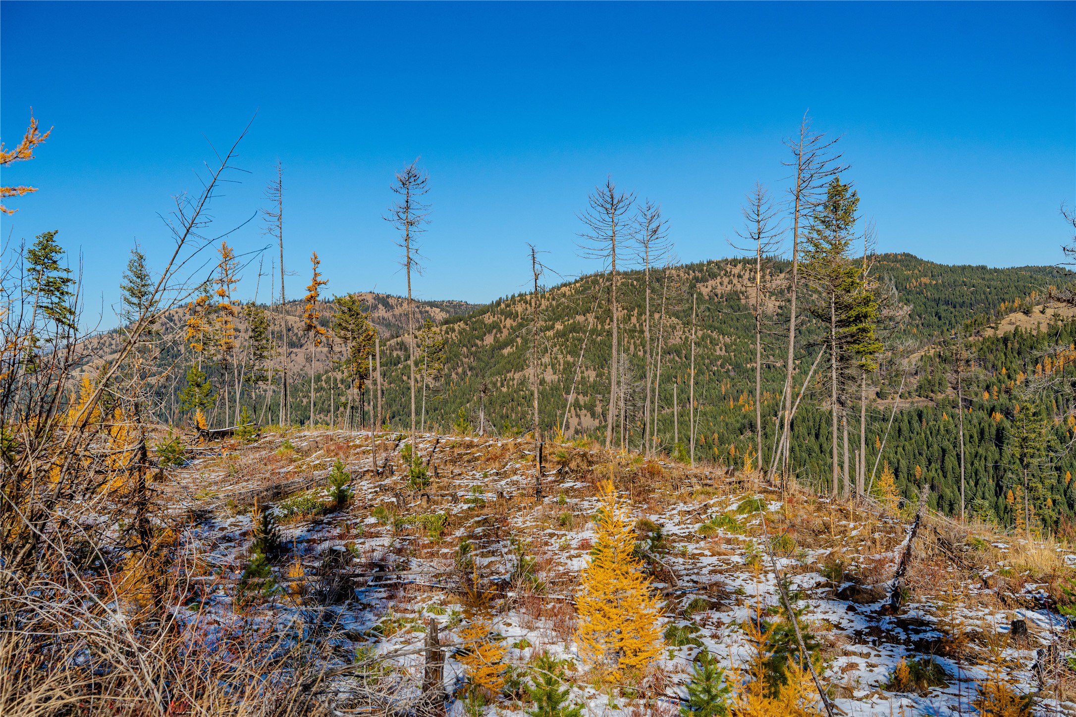 Nhn Vermillion Creek Road