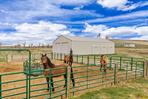 Tiny photo for 47 Caragana Drive, Ulm, MT 59485 (MLS # 30069629)