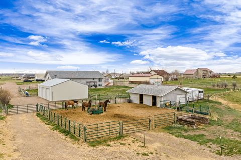 Tiny photo for 47 Caragana Drive, Ulm, MT 59485 (MLS # 30069629)
