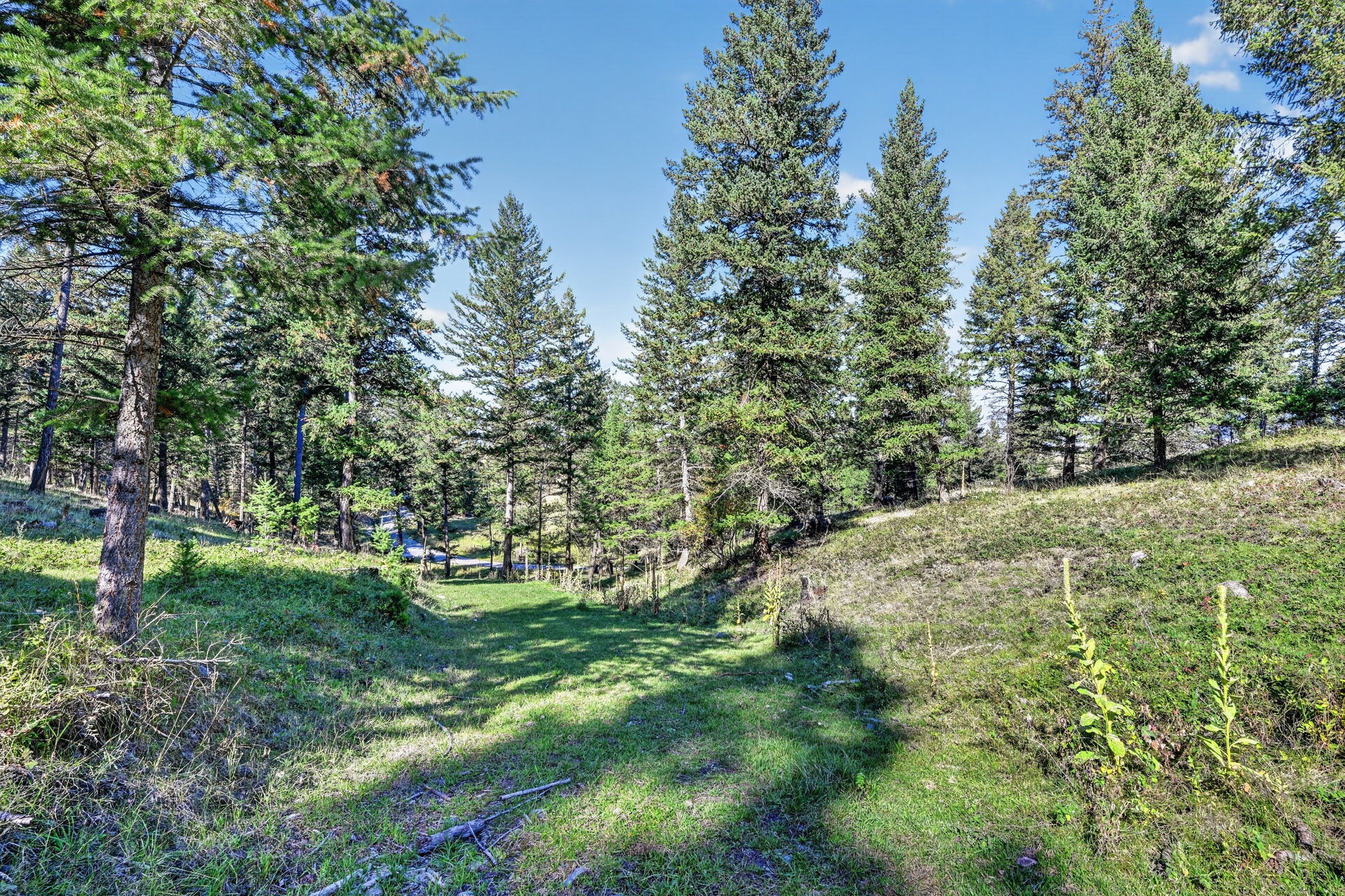 NHN Black Lake Road