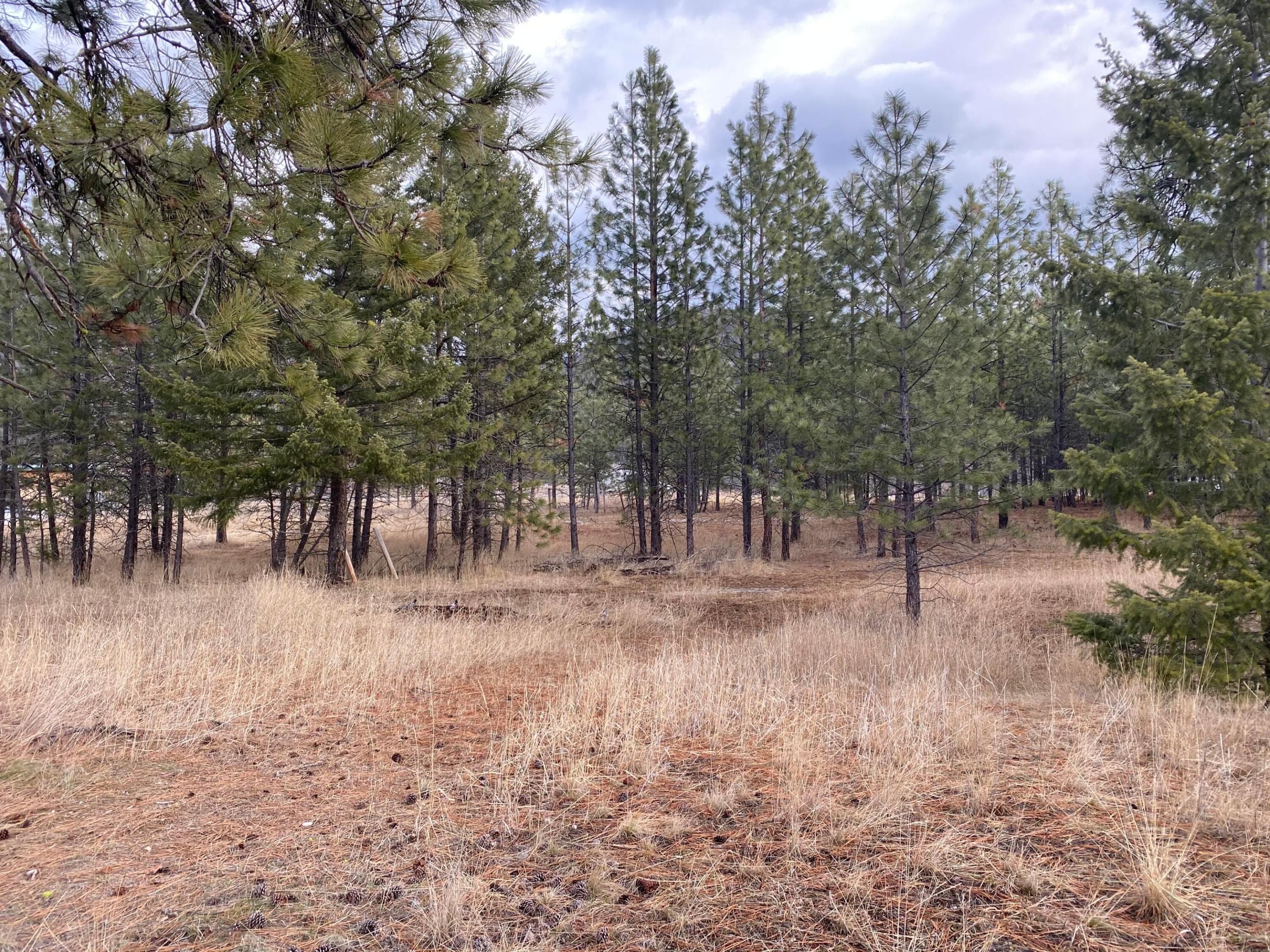 Nhn Cyr Iron Mountain Road