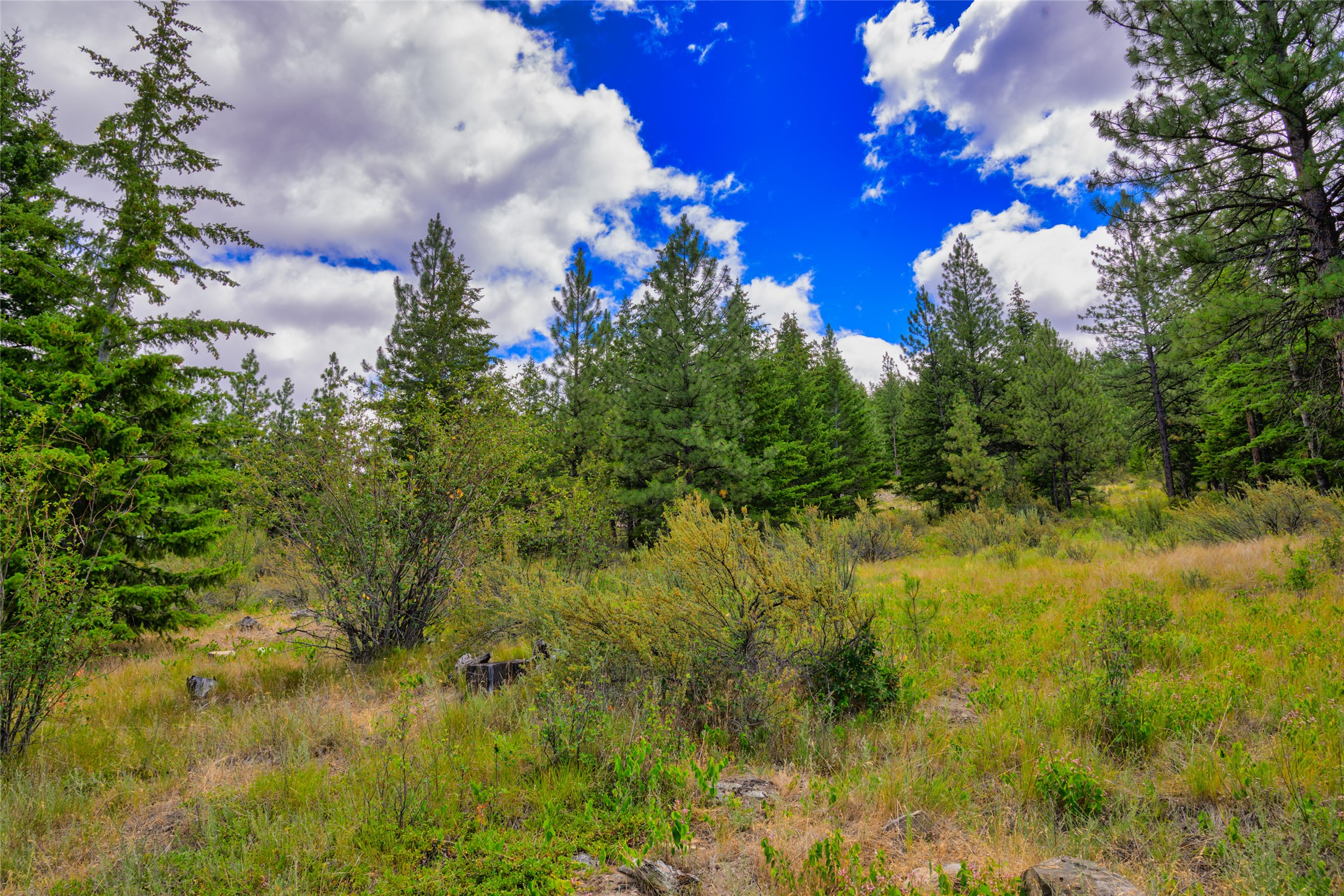 Lot 6 Bighorn Bluff Road