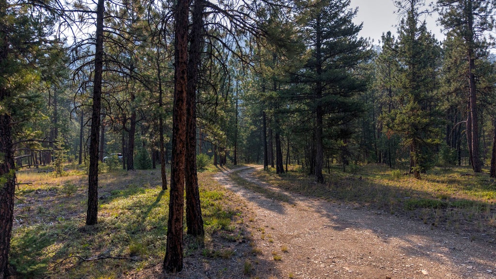 Photo of 6030 W Fork Road, Darby, MT 59829 (MLS # 30075678)
