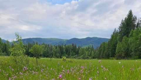 Photo of 214 Aspen Lane, Columbia Falls, MT 59912 (MLS # 30064704)