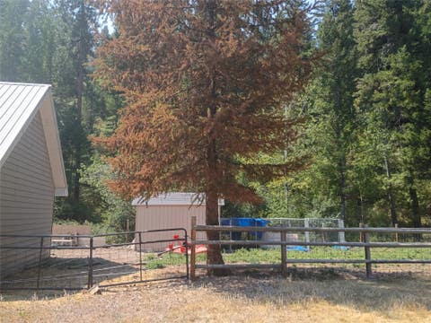 Tiny photo for 14334 Bonfire Court, Clinton, MT 59825 (MLS # 30076337)
