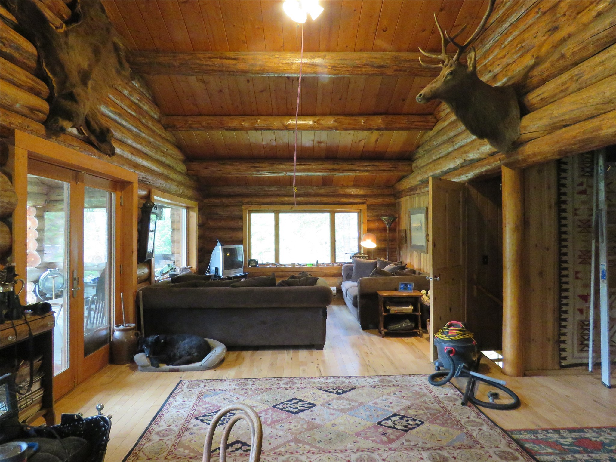 394 White Drive