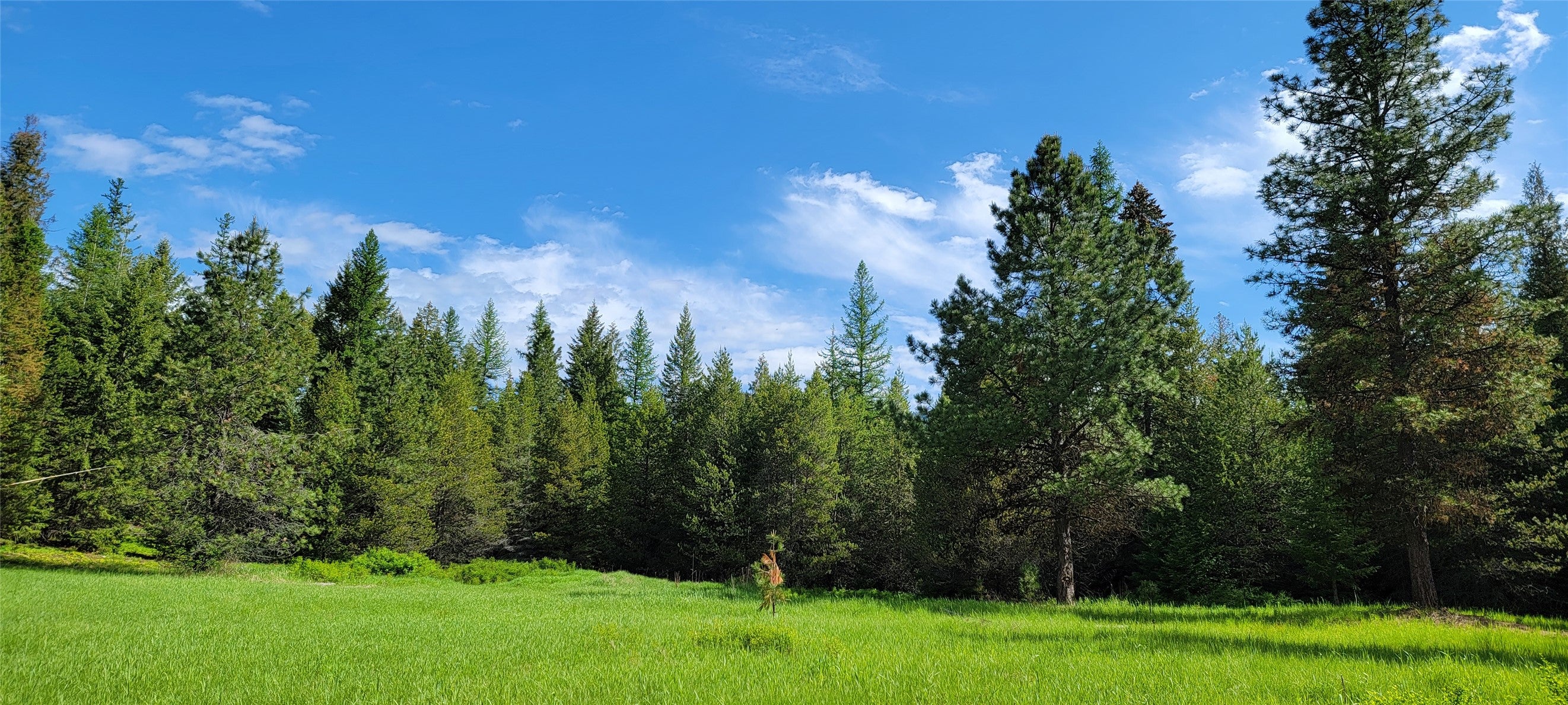 1980 Rabbit Creek Road
