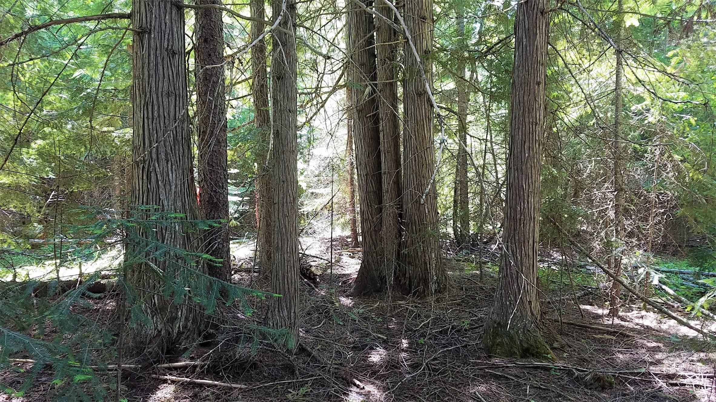 1980 Rabbit Creek Road