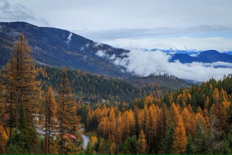 Tiny photo for 3832 Tamarack Avenue #2B, Whitefish, MT 59937 (MLS # 30052650)