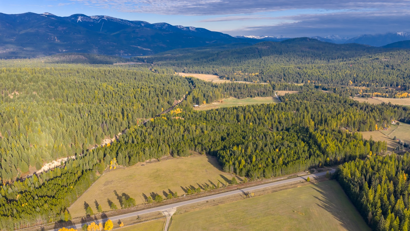 340 Tamarack Creek Road