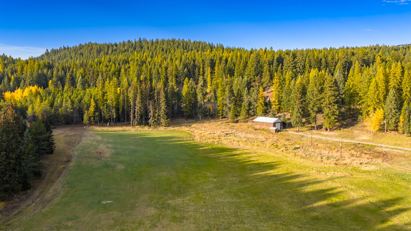 340 Tamarack Creek Road