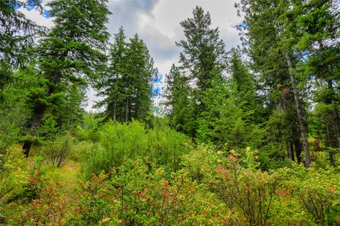 Photo of Lot 1 Bighorn Bluff Road, Plains, MT 59859 (MLS # 30073522)
