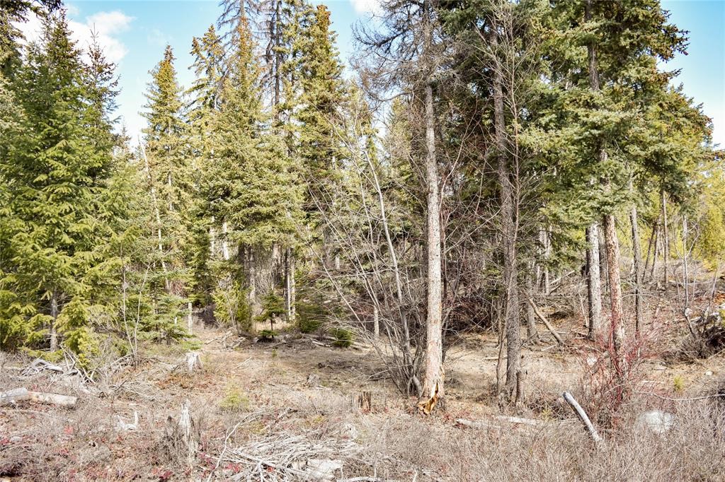 Lot 1A Meadow Springs