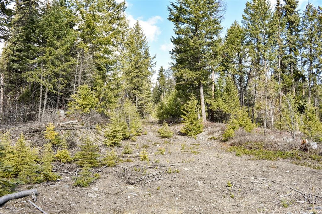 Lot 1A Meadow Springs