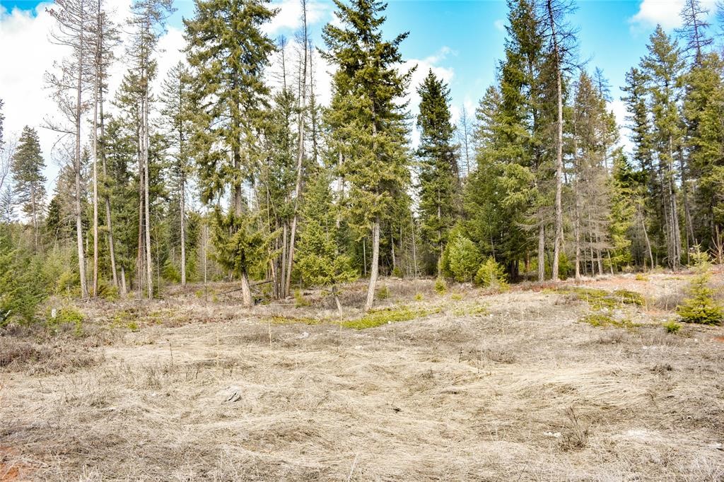 Lot 1A Meadow Springs