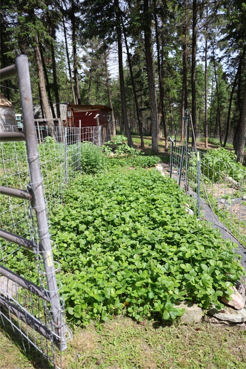 Tiny photo for 765 Border Lane, Rexford, MT 59930 (MLS # 30073151)