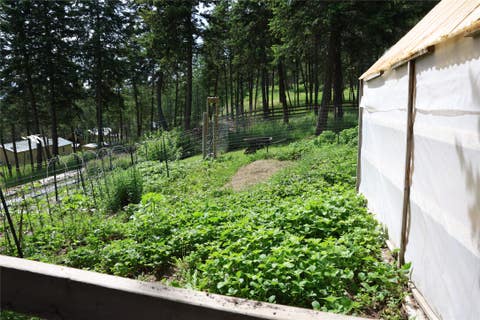 Tiny photo for 765 Border Lane, Rexford, MT 59930 (MLS # 30073151)