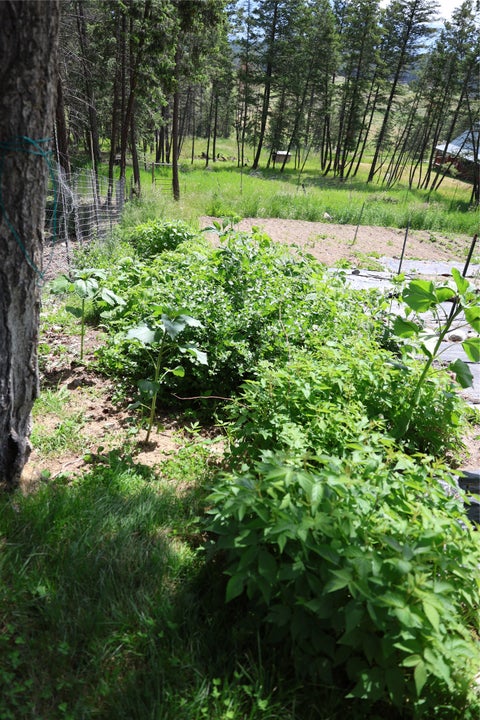 Tiny photo for 765 Border Lane, Rexford, MT 59930 (MLS # 30073151)