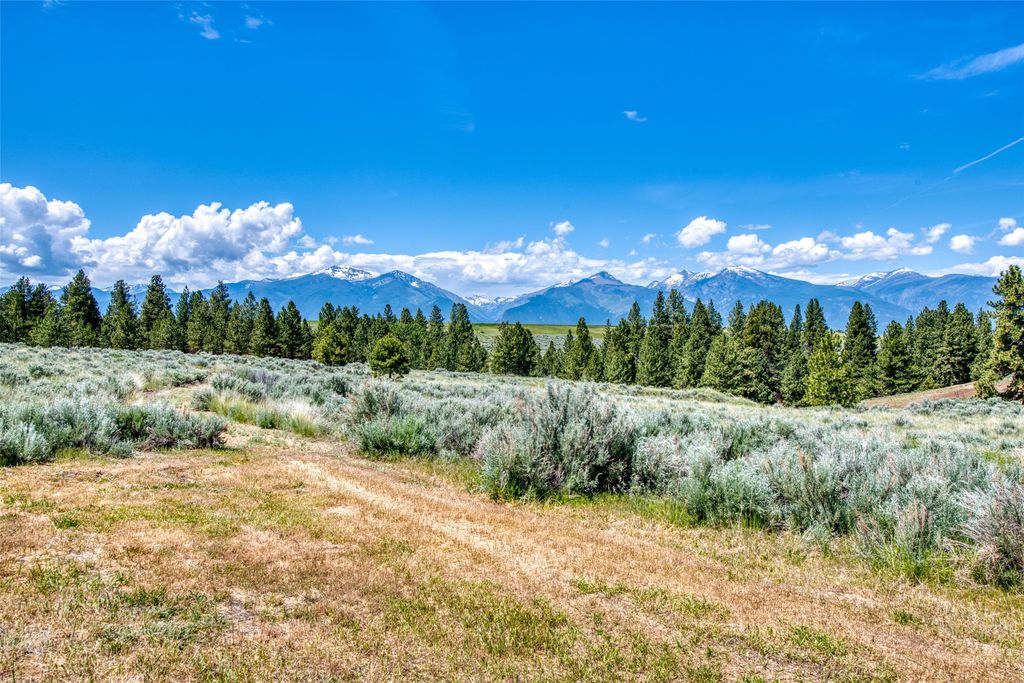 Photo of 3661 Sagehill Drive, Stevensville, MT 59870 (MLS # 30050366)