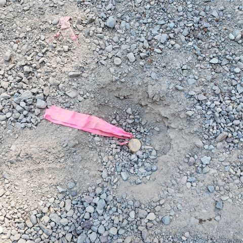 Tiny photo for 167 Dixie Lane, Kalispell, MT 59901 (MLS # 30066989)