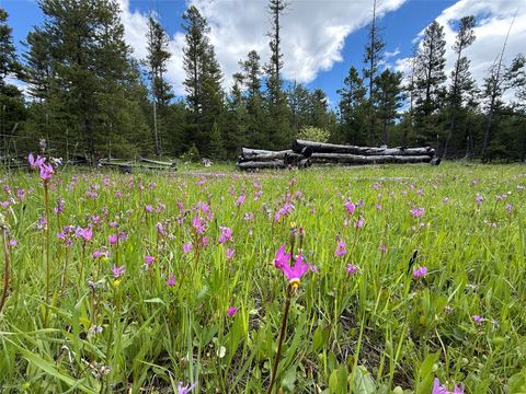 Tiny photo for 207 Ridgetop Lane, Helmville, MT 59843 (MLS # 30073646)