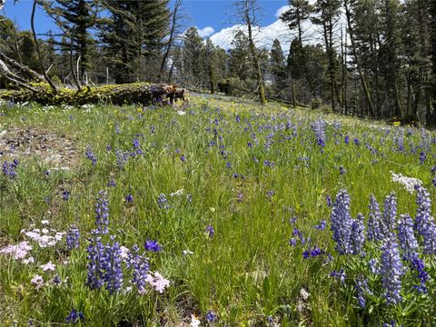 Tiny photo for 207 Ridgetop Lane, Helmville, MT 59843 (MLS # 30073646)