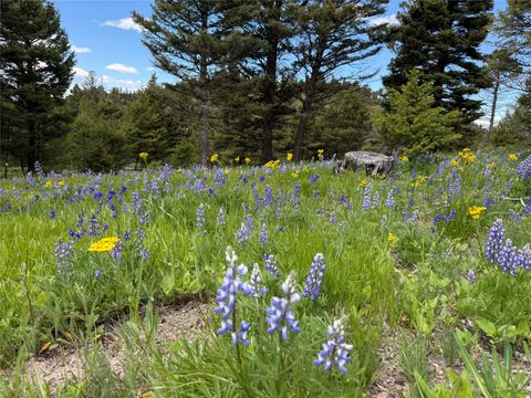Tiny photo for 207 Ridgetop Lane, Helmville, MT 59843 (MLS # 30073646)