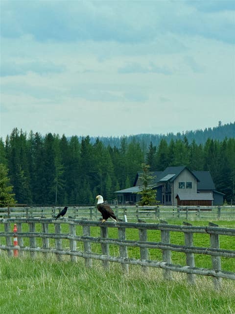 Tiny photo for 567 Twin Bridges Road, Whitefish, MT 59937 (MLS # 30066398)